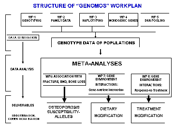 WorkPacakage Structure