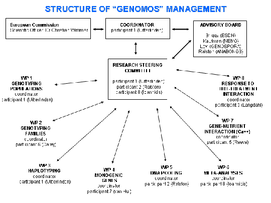 Methodology structure